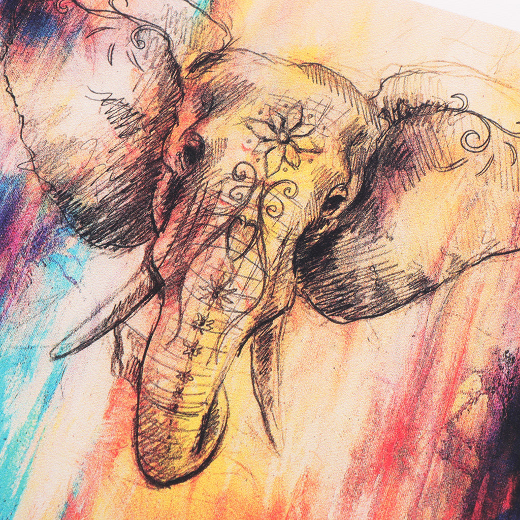 Modern Art Oil Painting Canvas Picture Colorful Elephant Wall Decor  50x50cm