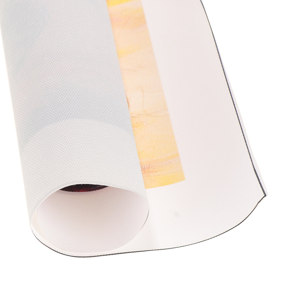 Modern Art Oil Painting Canvas Picture Colorful Elephant Wall Decor  50x50cm