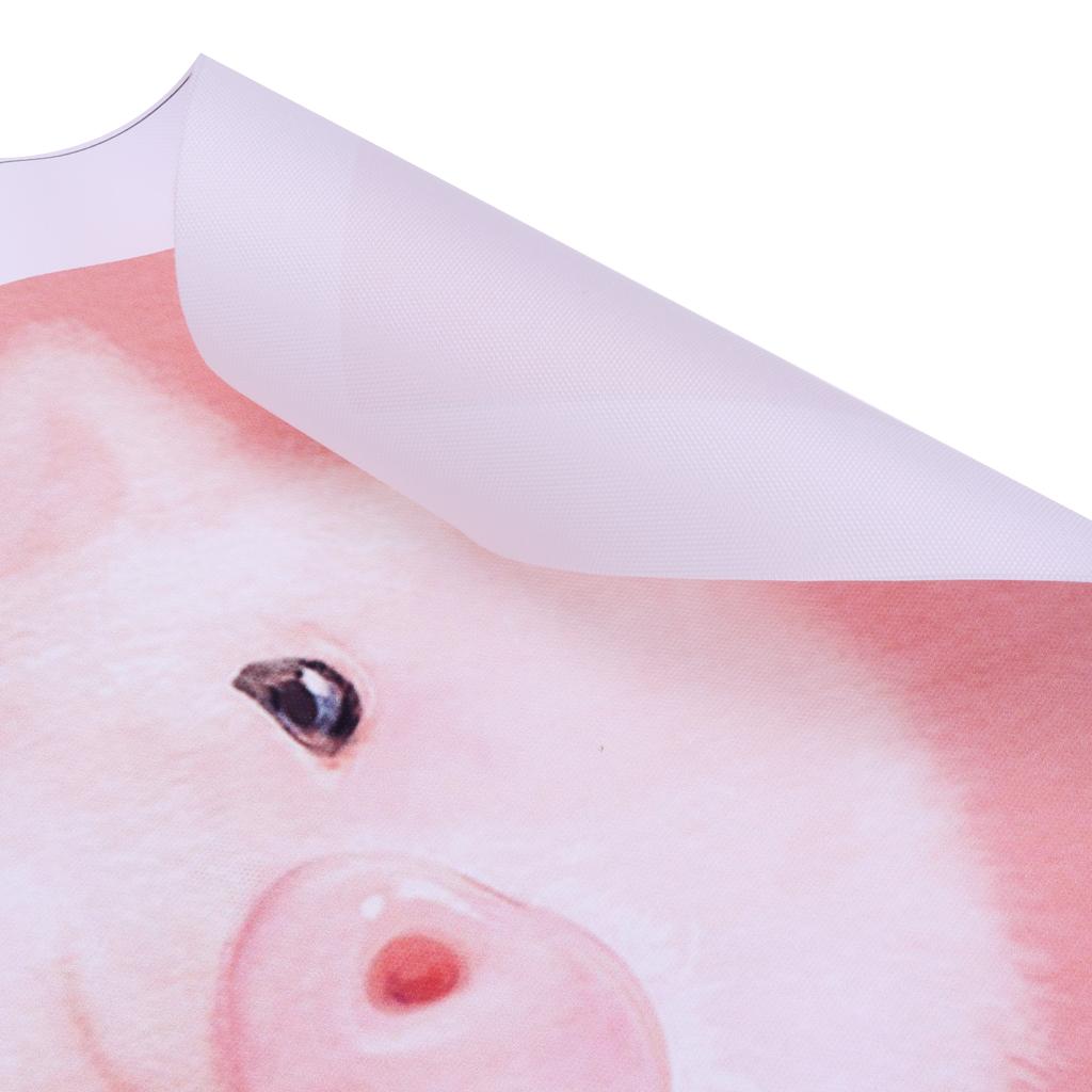 Cartoon Cute Pet Animal Painting on Canvas Frameless Oil Painting Pig
