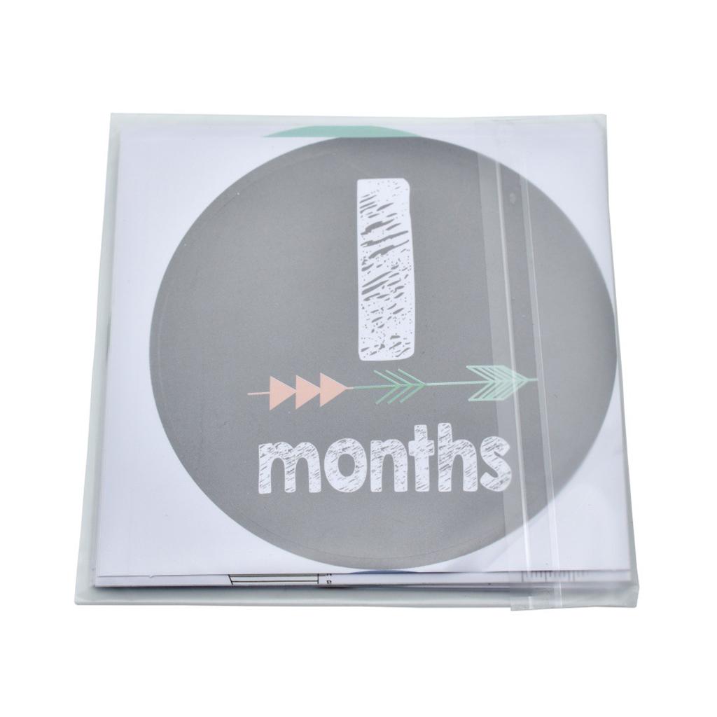 Monthly Baby Stickers Baby Boys Girls 12 Months Milestone Stickers Style-1
