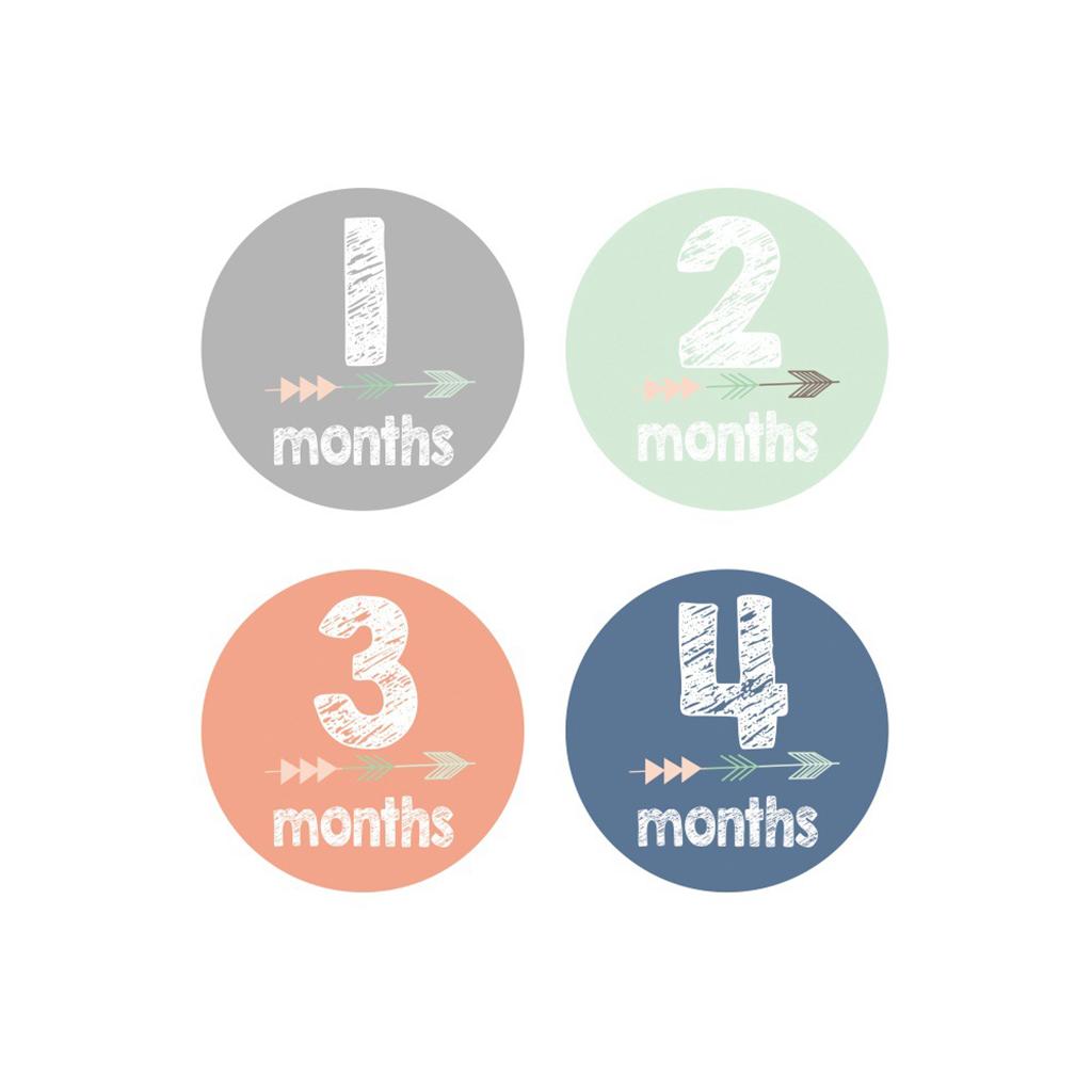 Monthly Baby Stickers Baby Boys Girls 12 Months Milestone Stickers Style-1