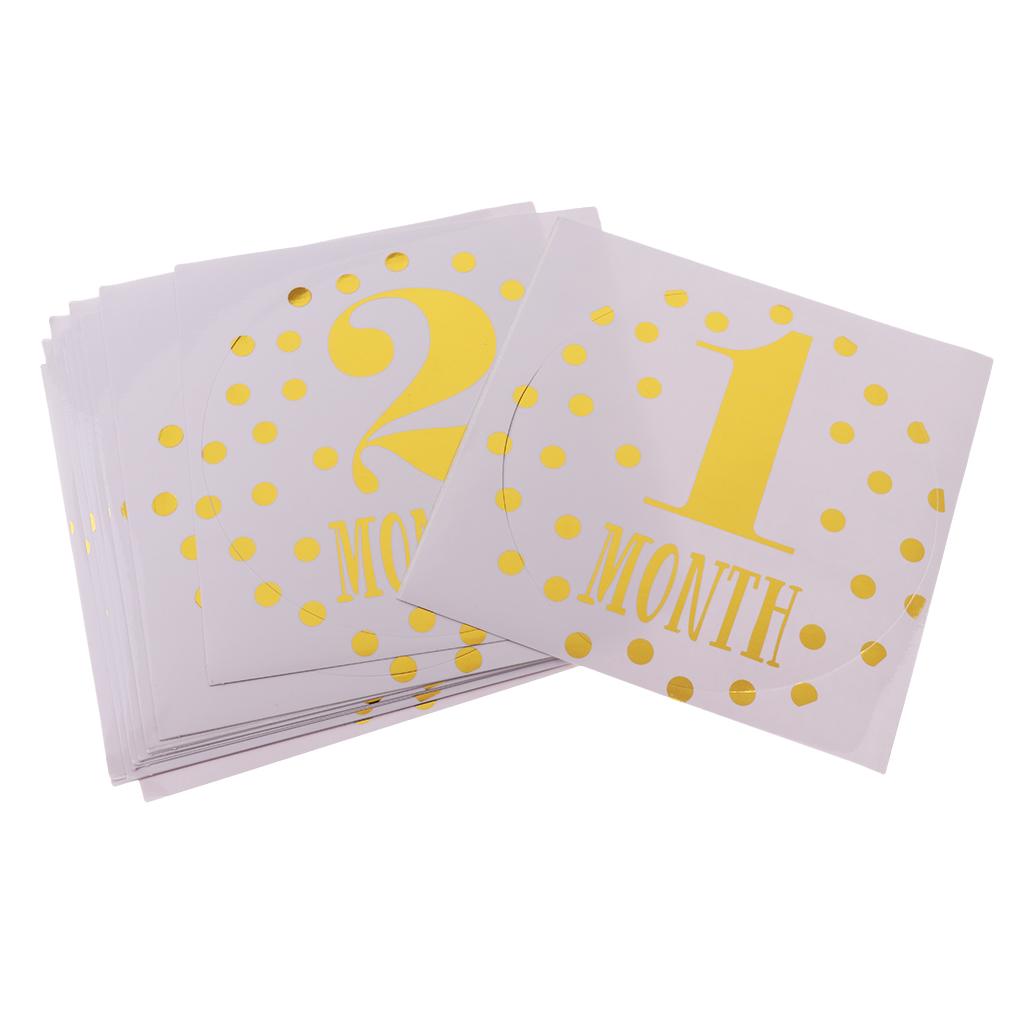 Monthly Baby Stickers Baby Boys Girls 12 Months Milestone Stickers Style-2