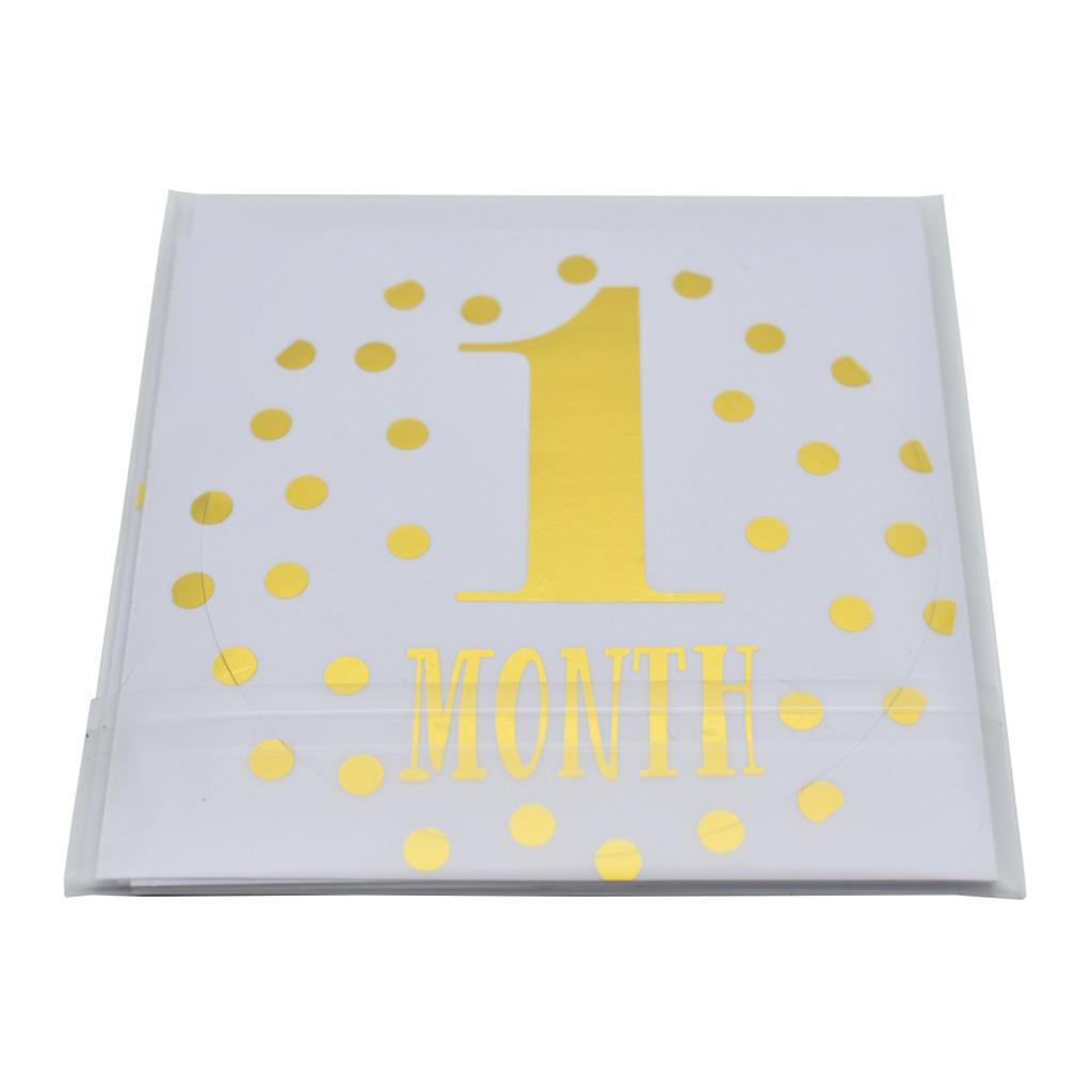 Monthly Baby Stickers Baby Boys Girls 12 Months Milestone Stickers Style-2