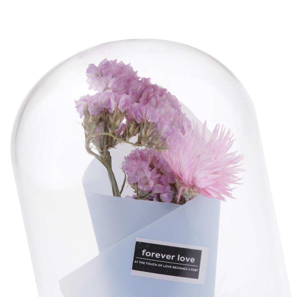 Romantic Dried Flower Plant Ornament Micro Landscape Terrarium Pnik