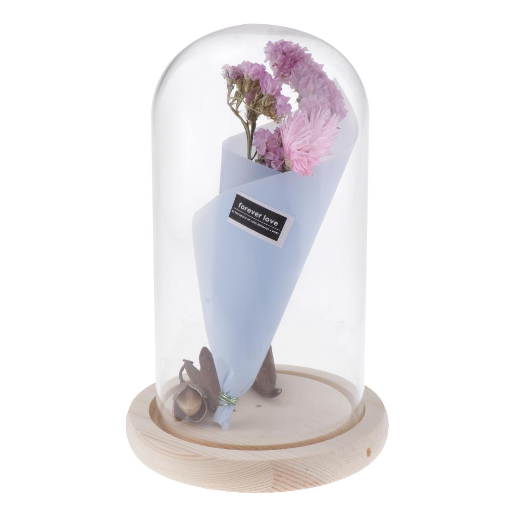 Romantic Dried Flower Plant Ornament Micro Landscape Terrarium Pnik