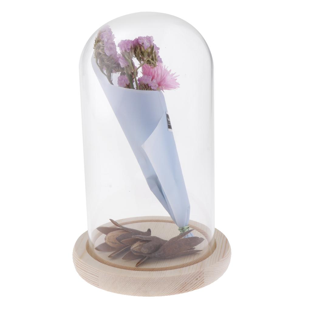 Romantic Dried Flower Plant Ornament Micro Landscape Terrarium Pnik