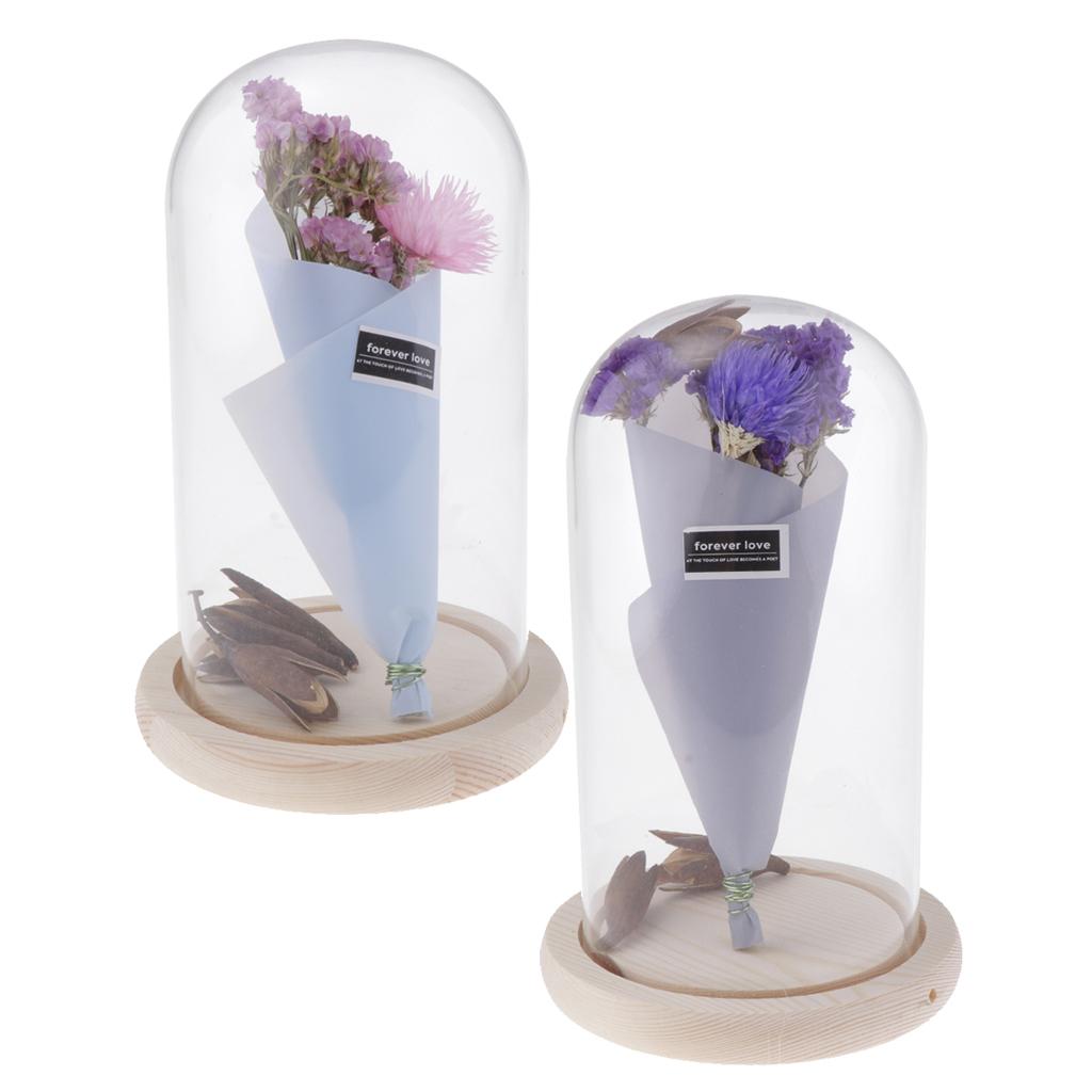 Romantic Dried Flower Plant Ornament Micro Landscape Terrarium Pnik