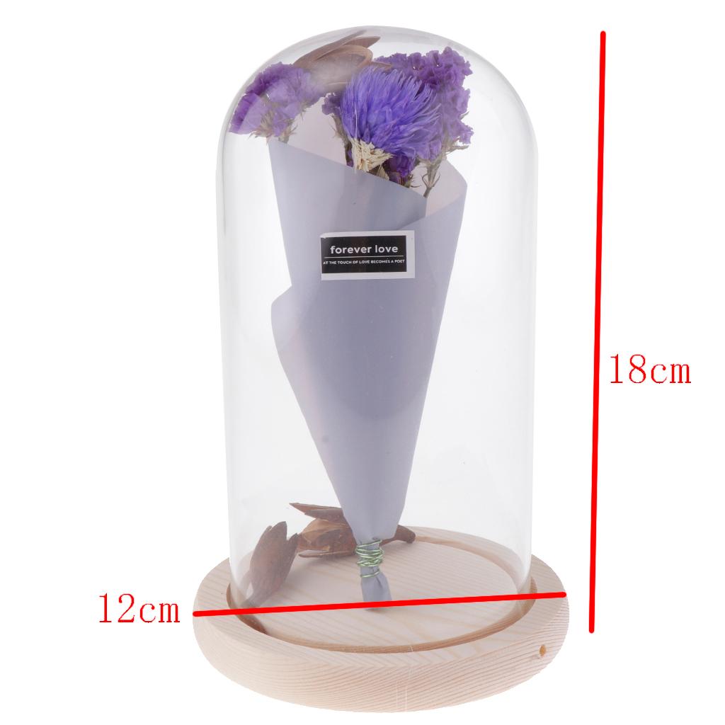 Romantic Dried Flower Plant Ornament Micro Landscape Terrarium Purple