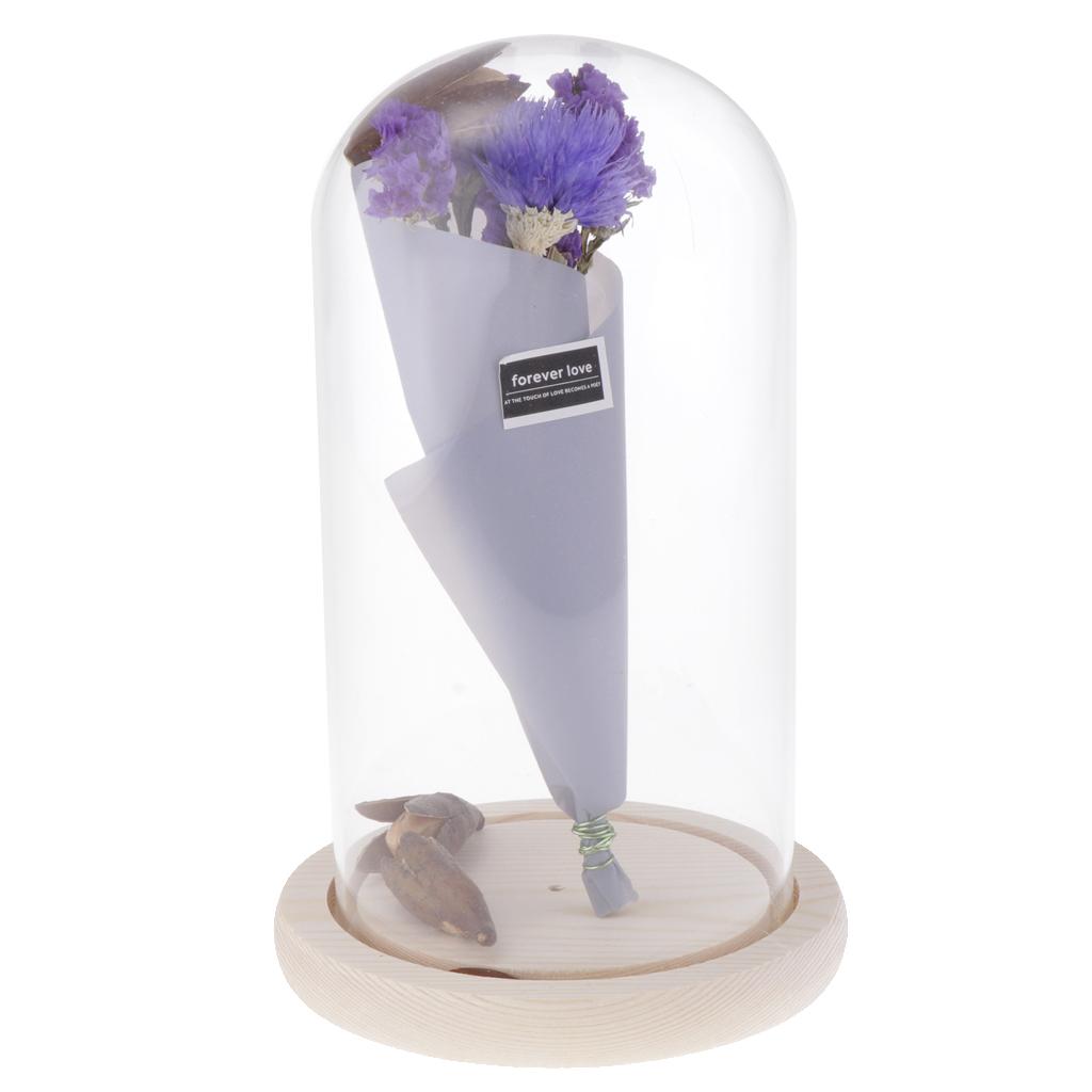 Romantic Dried Flower Plant Ornament Micro Landscape Terrarium Purple
