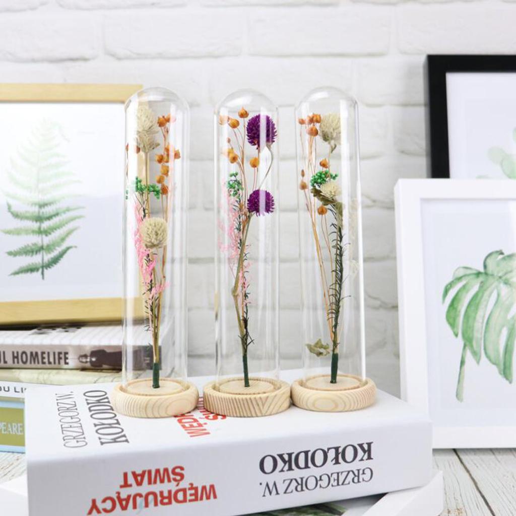 Romantic Dried Flower Plant Ornament Micro Landscape Glass Cover Purple