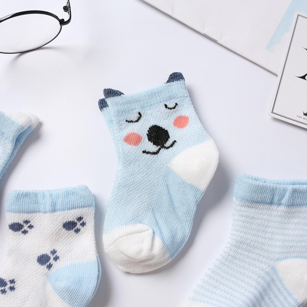 5 Pairs Baby Boy Girl Cartoon Cotton Socks Toddler Kids Soft Sock 3-5T Blue