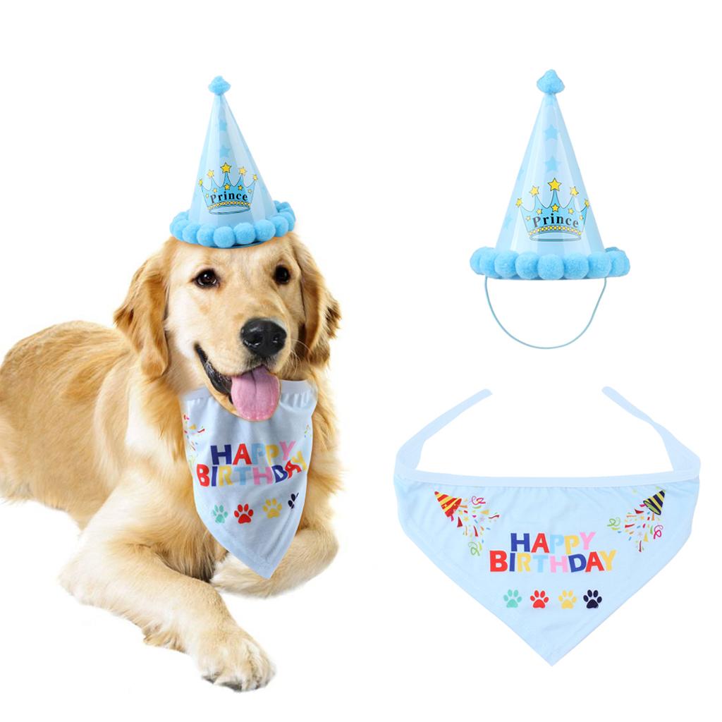 Pet Dog Cat Birthday Party Hat Lovely Happy Birthday Cap Scarf Set Blue