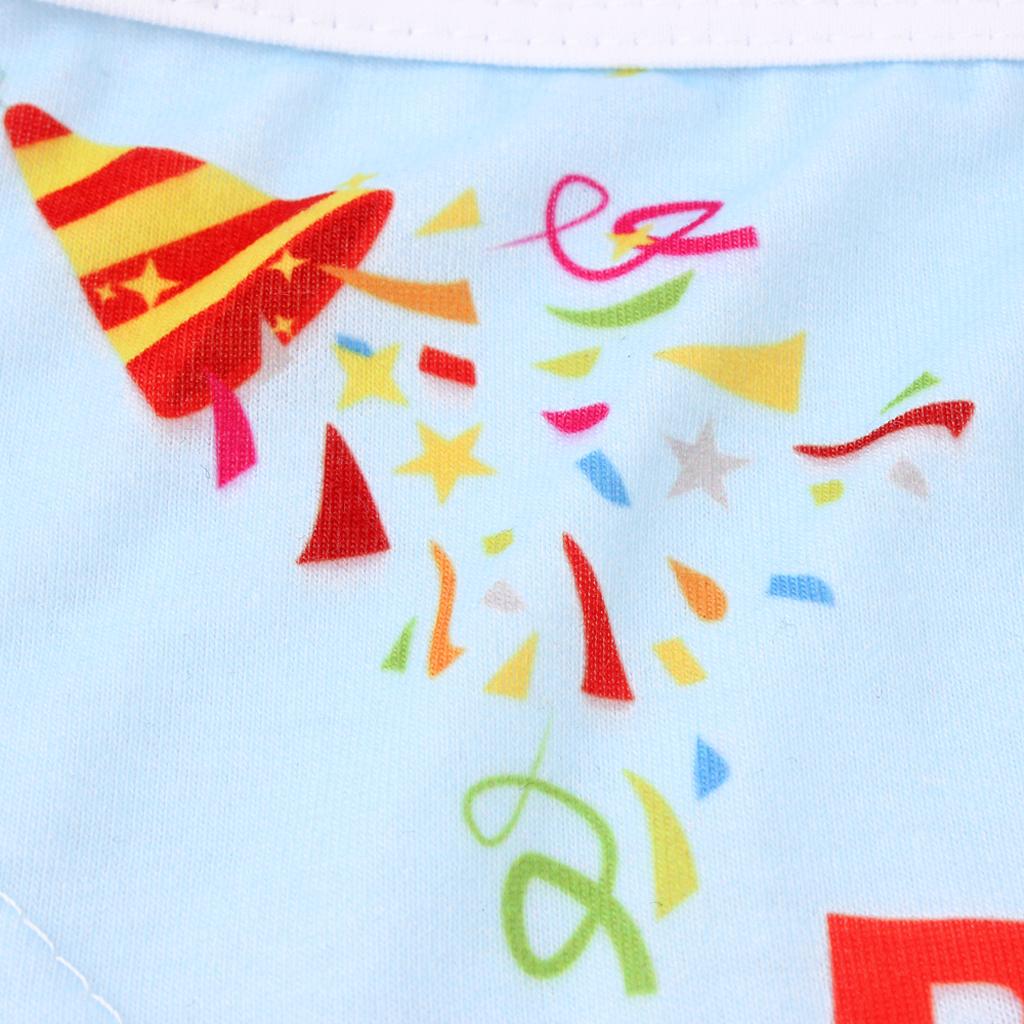 Pet Dog Cat Birthday Party Hat Lovely Happy Birthday Cap Scarf Set Blue