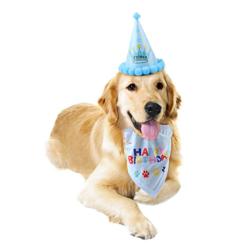 Pet Dog Cat Birthday Party Hat Lovely Happy Birthday Cap Scarf Set Blue