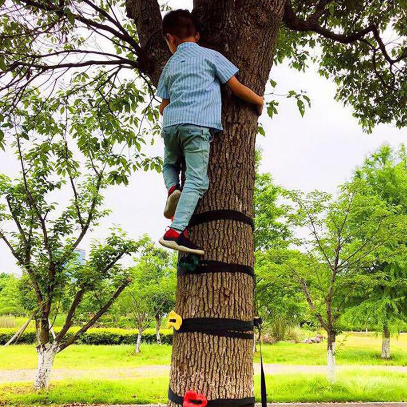 15Pcs Kids Tree Climbing Holds with 5 Ratchet Straps Hand Feet Hold Grip Kit