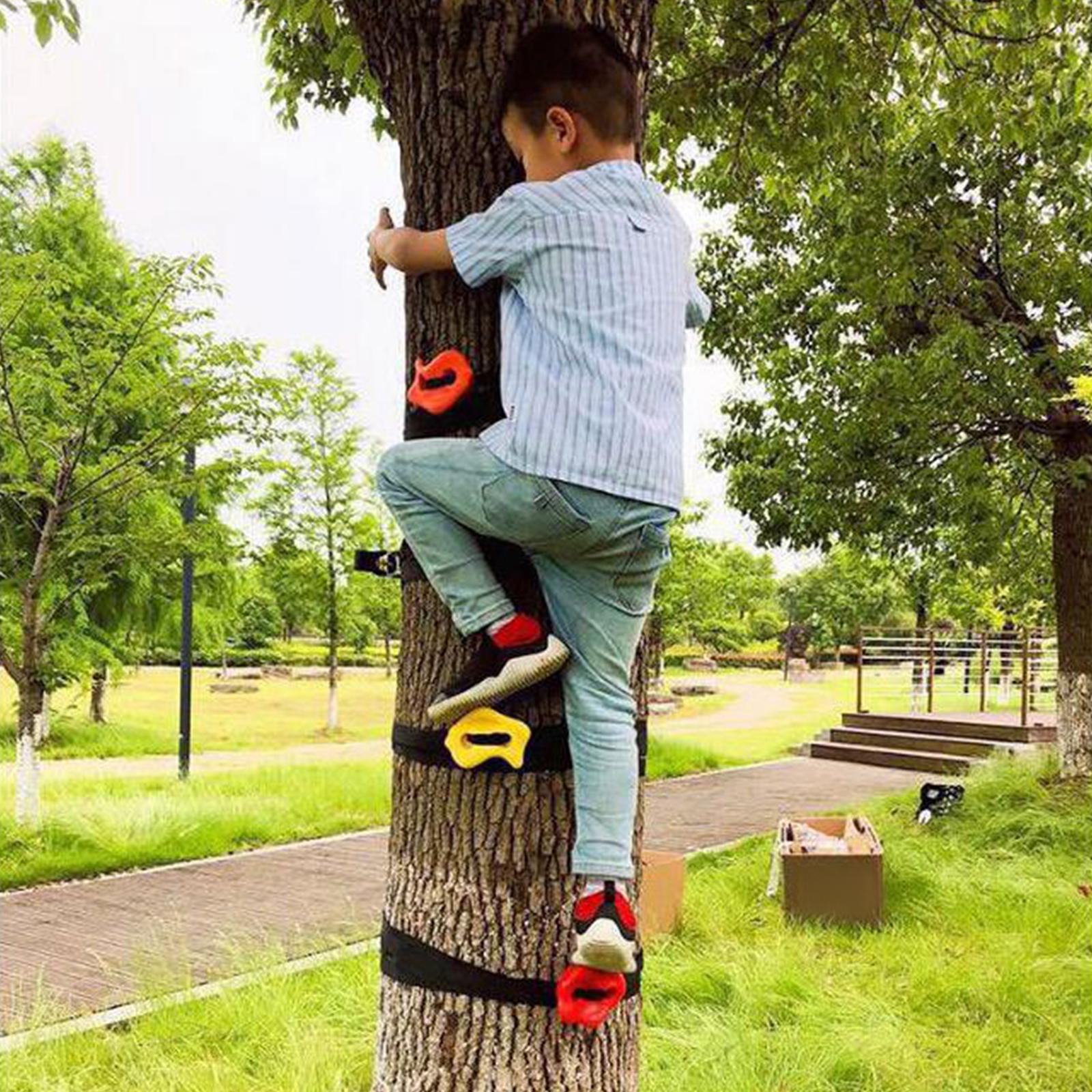 3 Pieces Tree Climbing Holds for Kids Climber 1 Ratchet Strap Climbing Rocks