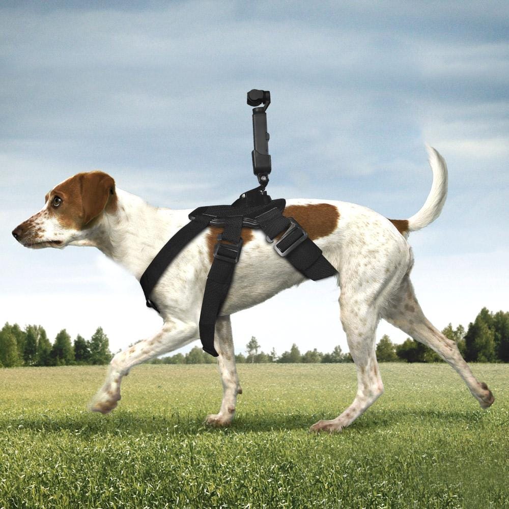 Elastic Adjustable Dog Fetch Hound Harness Mount Belt with Adapter for DJI OSMO Pocket (Black)