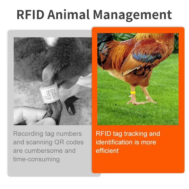 Animal Poultry Foot Ring with TK4100 Chip RFID LF Animal Cable Tie Labels, Size:33 x 23 x 0.8mm