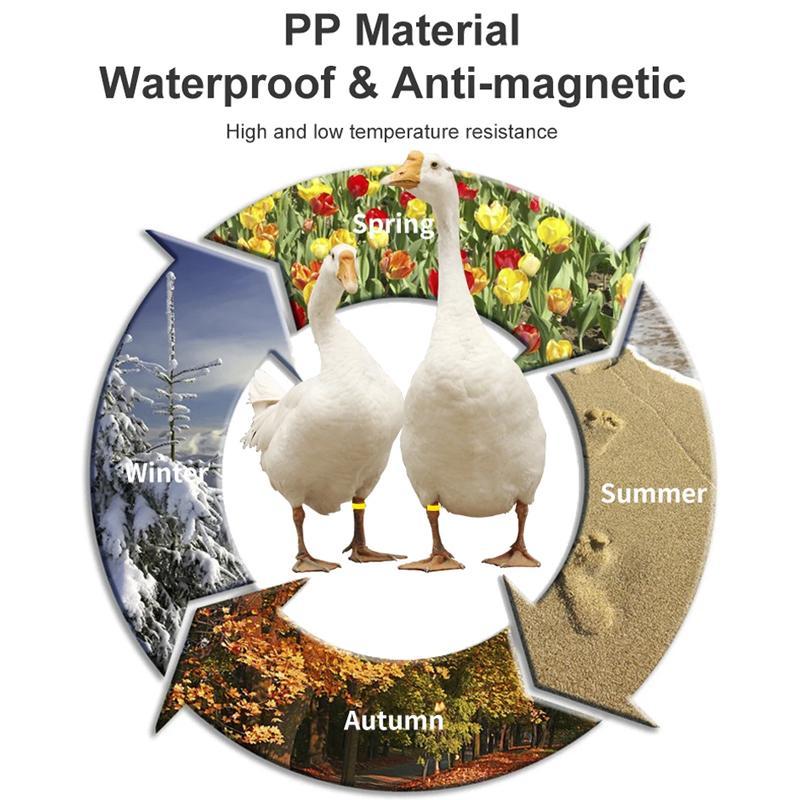 Animal Poultry Foot Ring with TK4100 Chip RFID LF Animal Cable Tie Labels, Size:33 x 23 x 0.8mm
