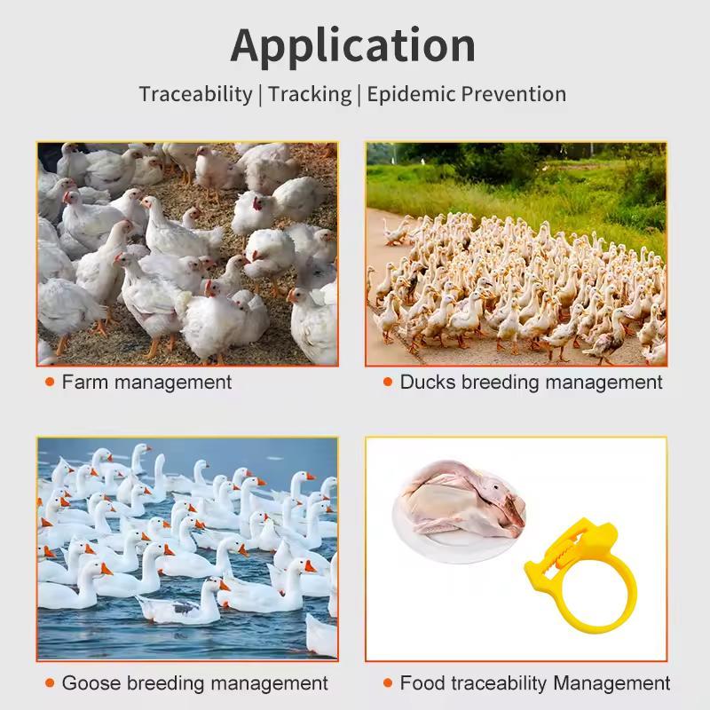 Animal Poultry Foot Ring with TK4100 Chip RFID LF Animal Cable Tie Labels, Size:33 x 23 x 0.8mm