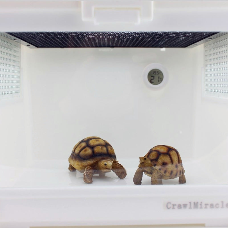 Digital Round Shaped Reptile Box Centigrade Thermometer & Hygrometer with Screen Display (Orange)