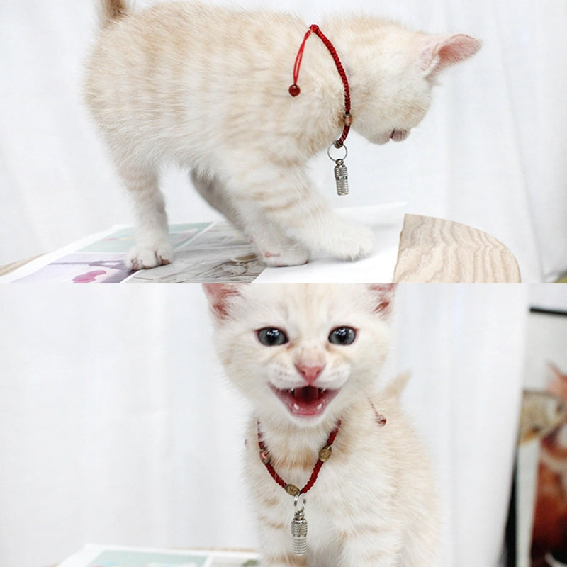 Small Pet ID Tag Pendant Dogs Cats Anti Loss Hanging