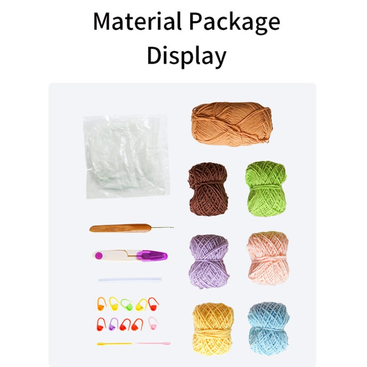 5pcs /Set Fleshy  Crochet Starter Kit for Beginners with  Step-by-Step Video Tutorials