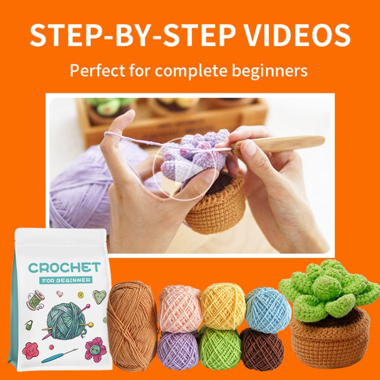 5pcs /Set Fleshy  Crochet Starter Kit for Beginners with  Step-by-Step Video Tutorials