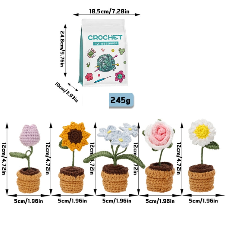 5pcs /Set Small Potted Plant Crochet Starter Kit for Beginners with  Step-by-Step Video Tutorials