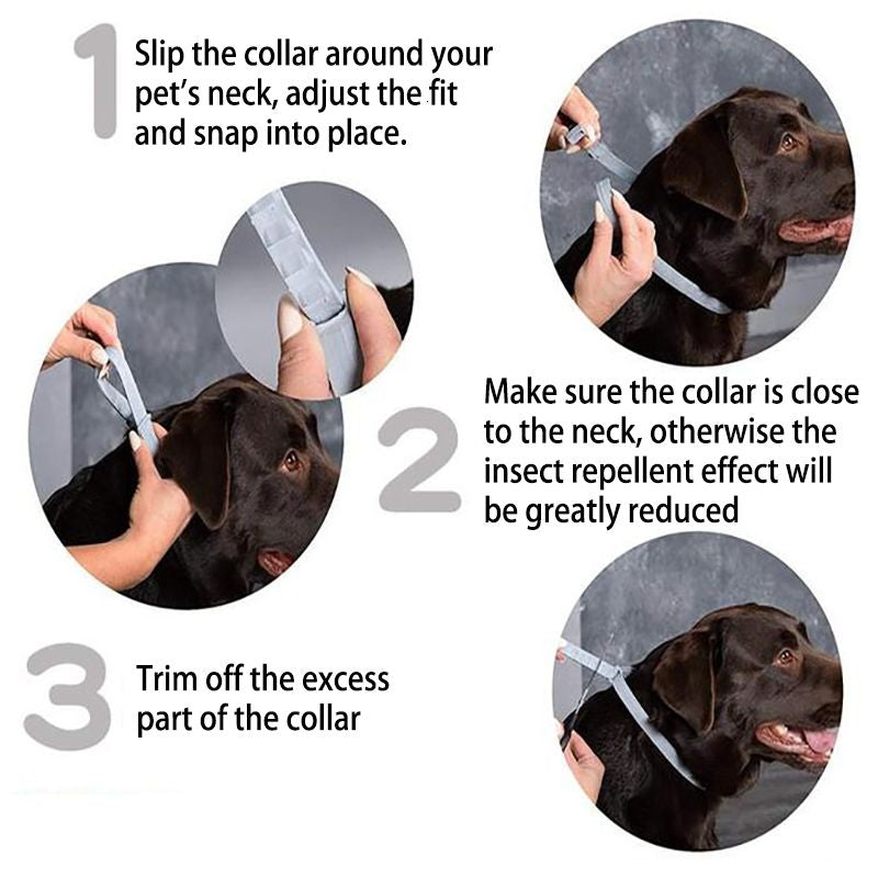 Flea and Tick Collar for Dogs Cats With Aluminum Case, Size: 72cm Gray