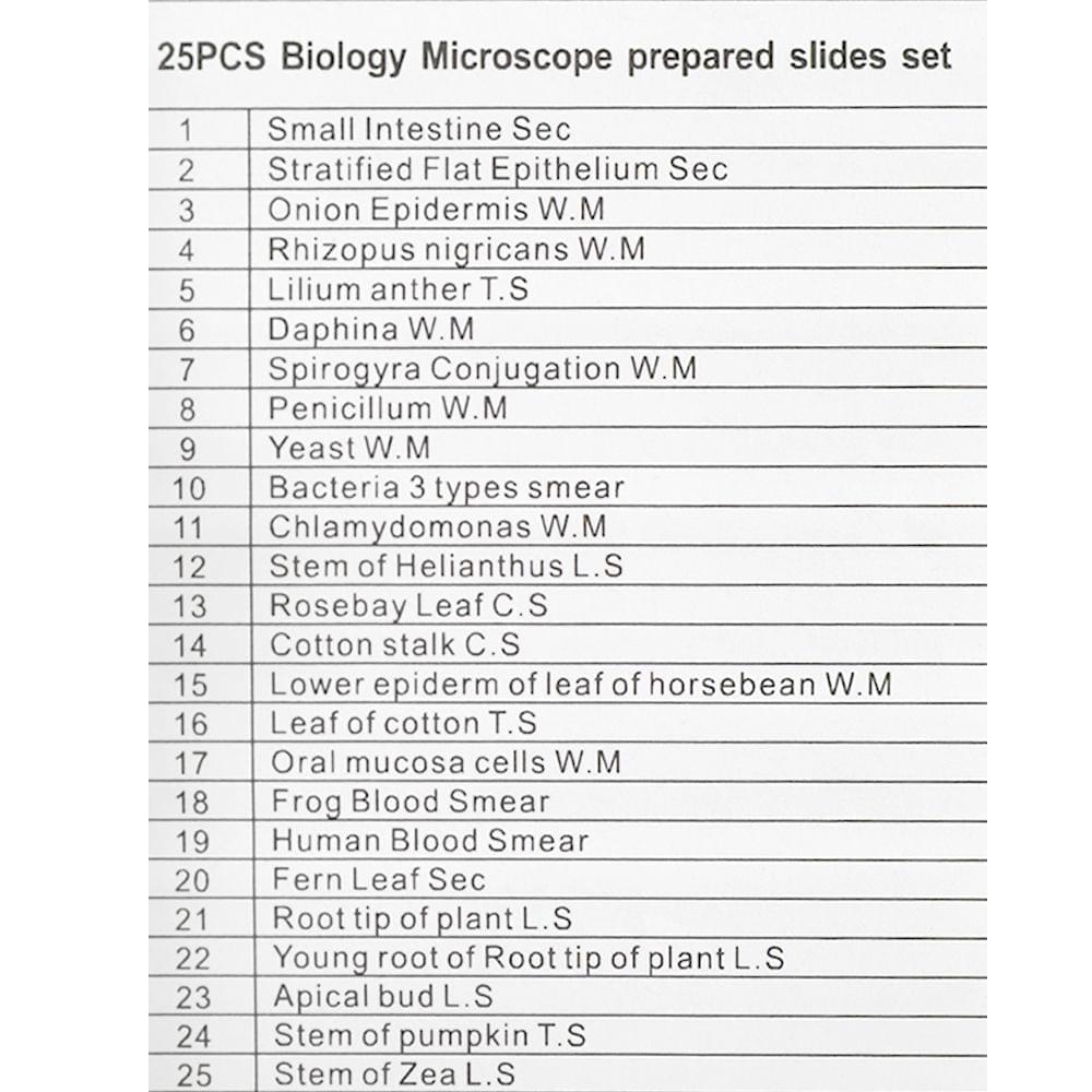 25PCS/Set Biological Glass Sample Prepared Basic Animal