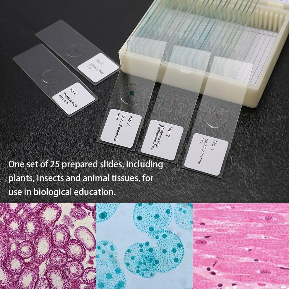 25PCS/Set Biological Glass Sample Prepared Basic Animal