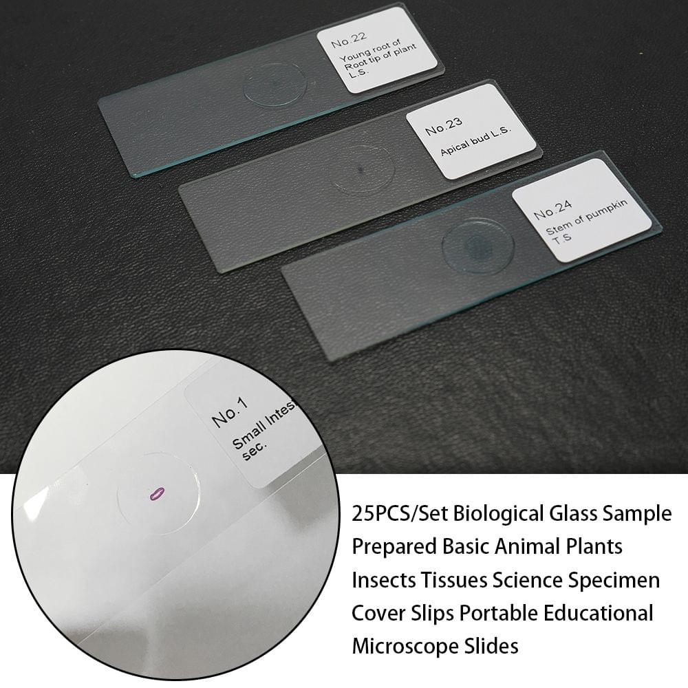 25PCS/Set Biological Glass Sample Prepared Basic Animal