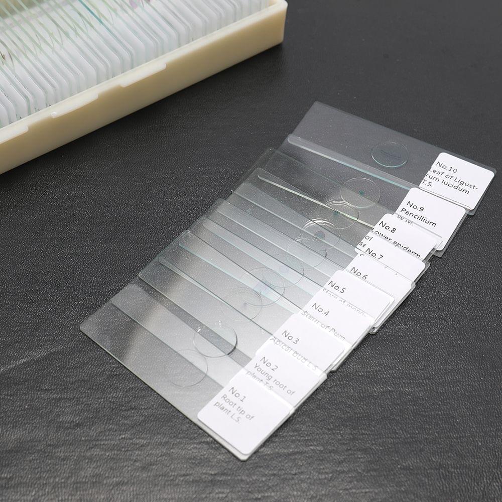 100PCS/Set Biological Glass Sample Prepared Basic Animal