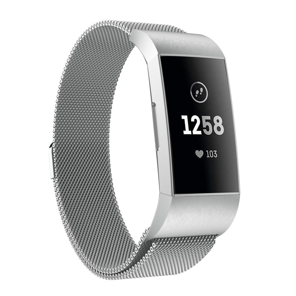 For Fitbit Charger 3 Metal Magnetic Metal Watch Strap (Silver)