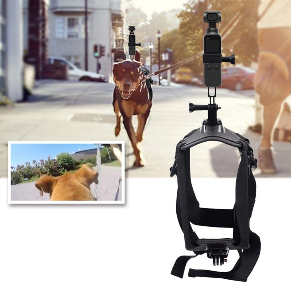 Pets Dog Harness Mount Adjustable Chest Strap  Shoot Picture