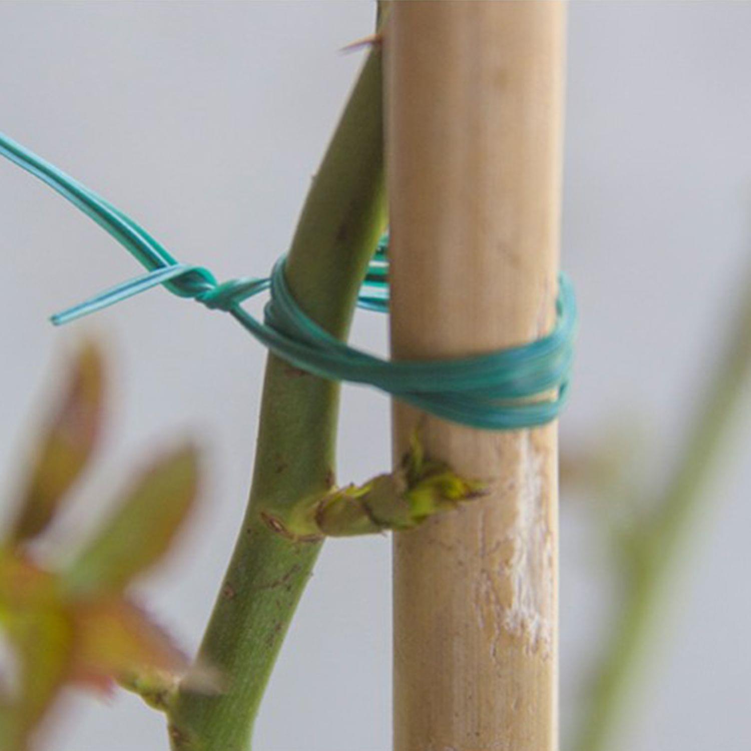 98 Feet Garden Twine Plant Ties Twist Ties with Cutter for - 30m