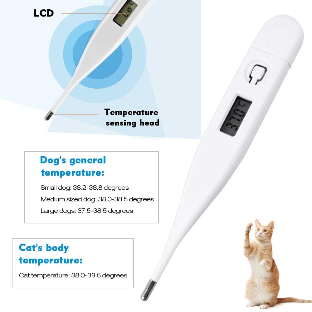 Digital Electronic Thermometer Portable Mouth/Underarm