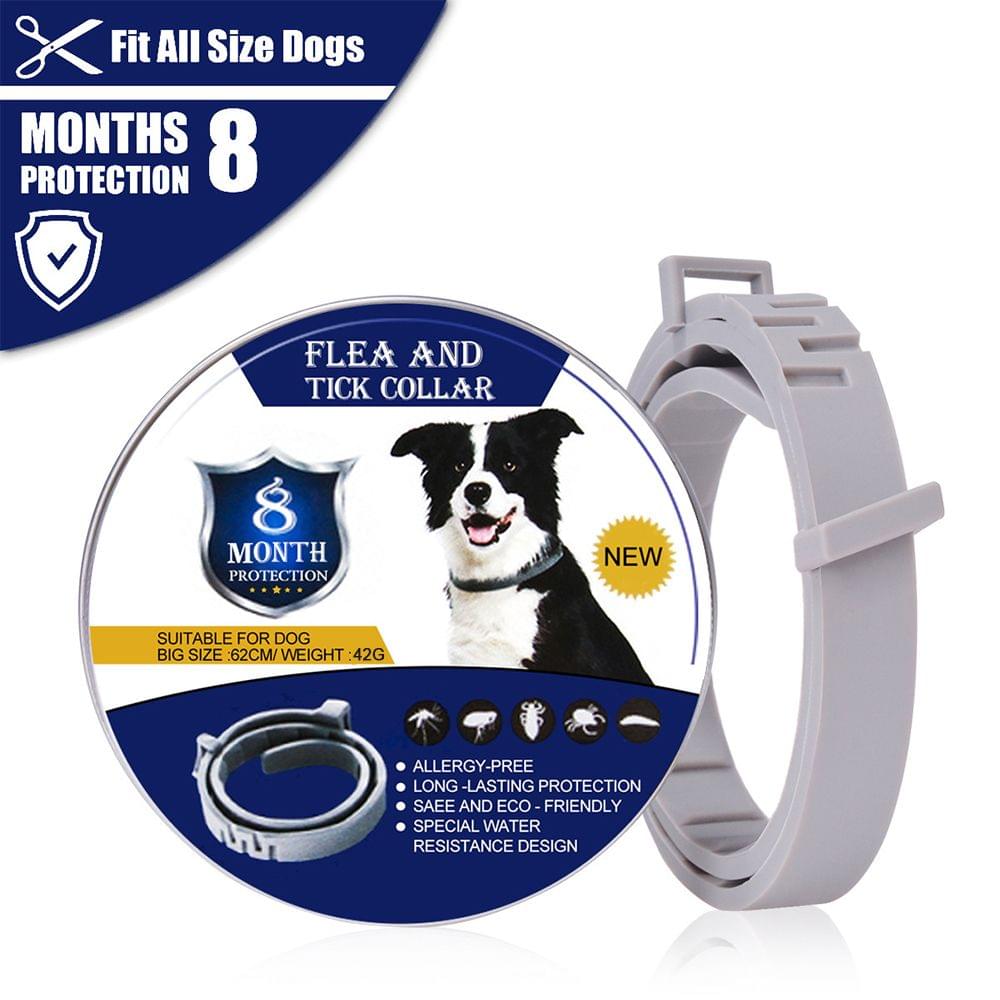 Dog Cat Collar Anti Flea Ticks Insect 8 Months Protection - 38cm