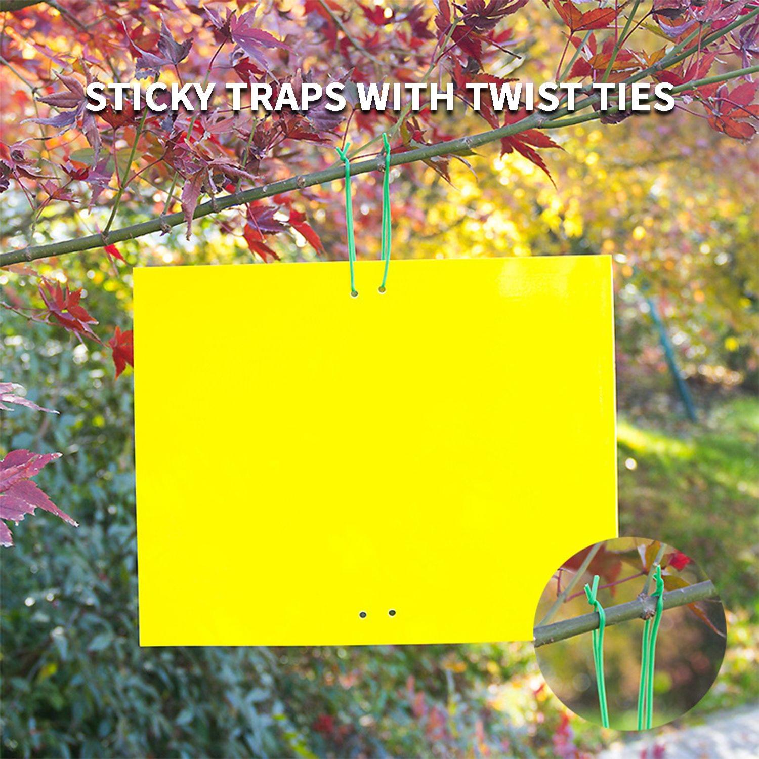 Dual-Sided Sticky Traps Indoor Outdoor Plant Gnat Traps with