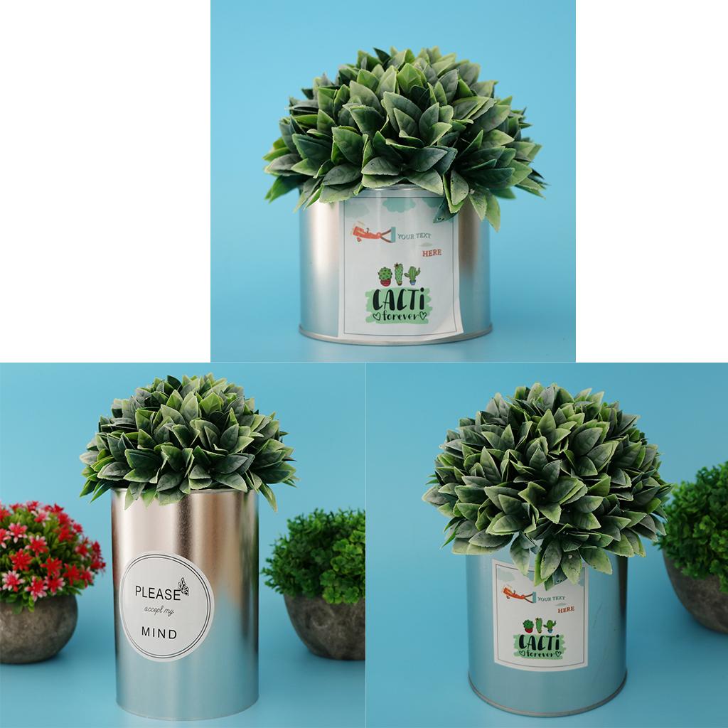 3Pcs Succulent Cactus Flowervase Metal Flower Pitcher for Home Decoration