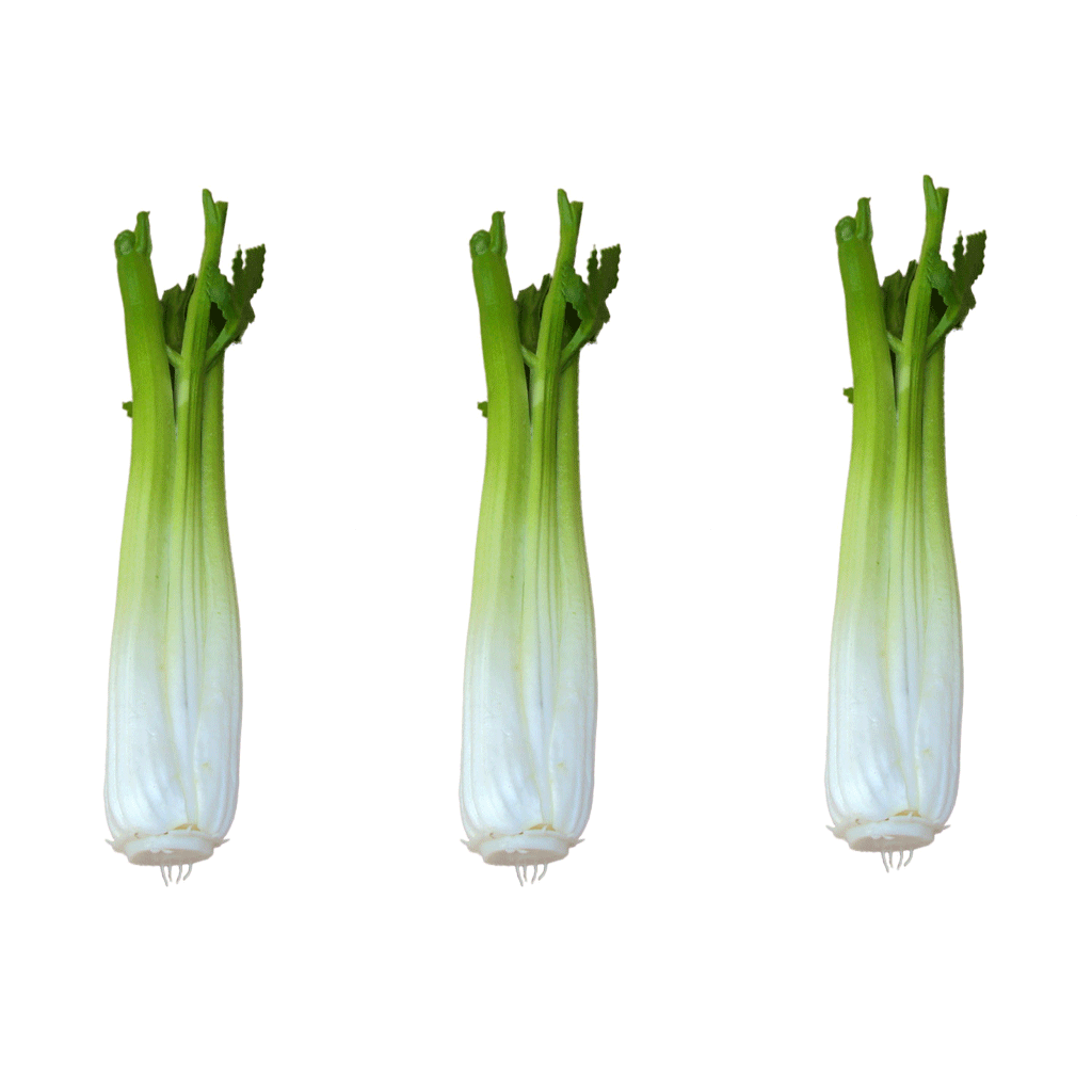 3Pcs Vivid Artificial Celery Toy Imitation Food Home Store Cabinet Display