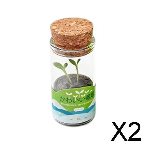 2xMini Glass Vase DIY Seed Planting Hydroponics Herb Bonsai Green