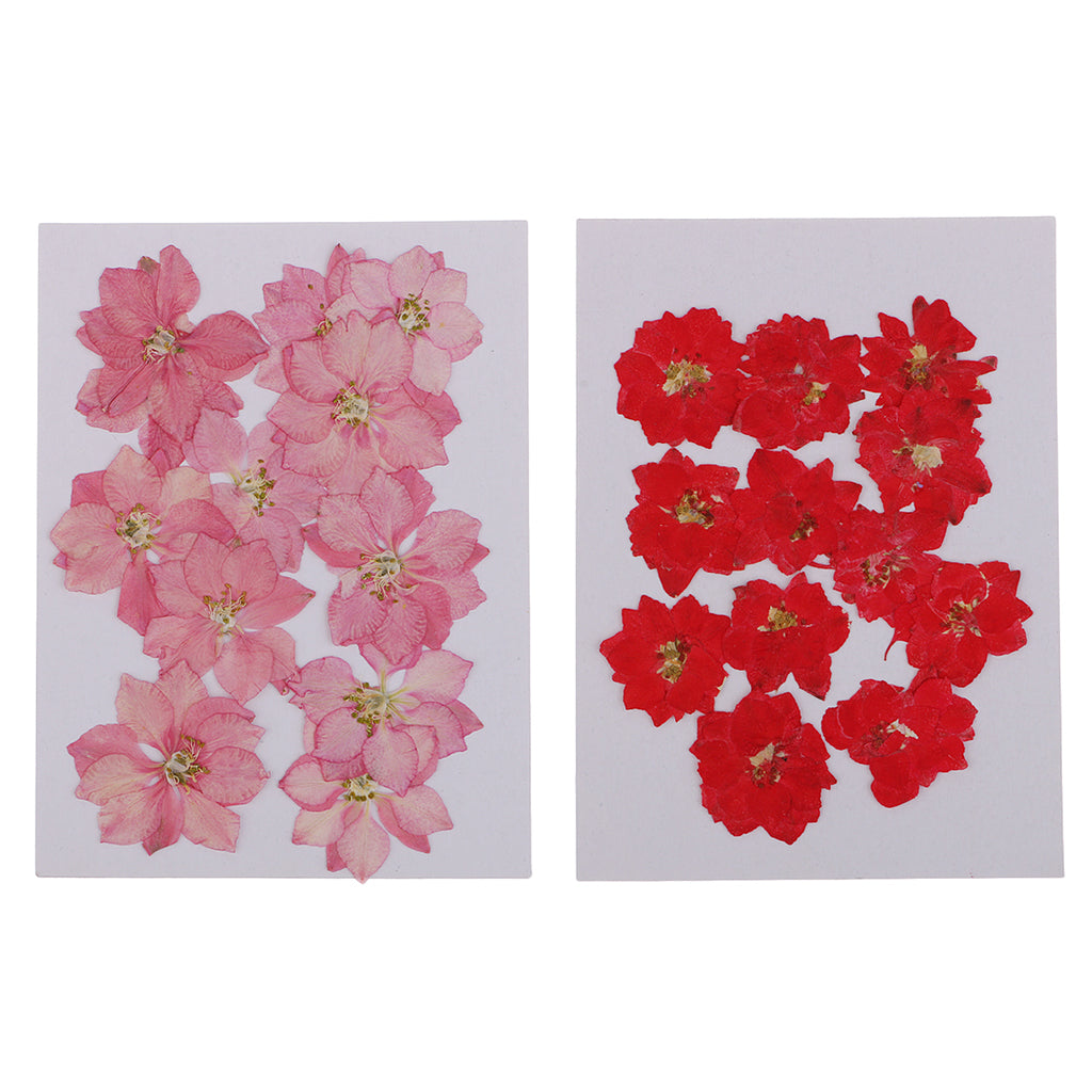 24Pcs Real Pressed Flowers Dried Larkspur DIY Crafts Decoration Red and Pink