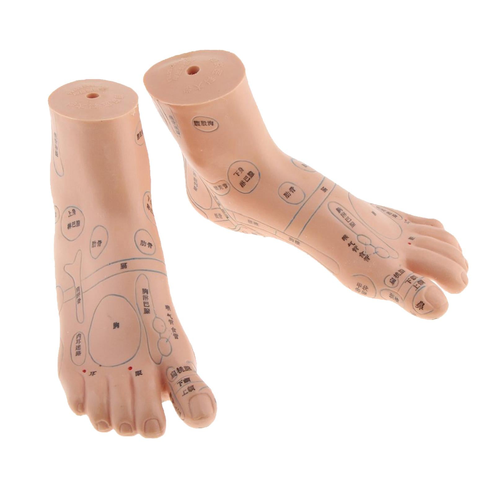 Pair Of PVC Foot Massager Reflexology Point Model Foot Model Teaching Supply