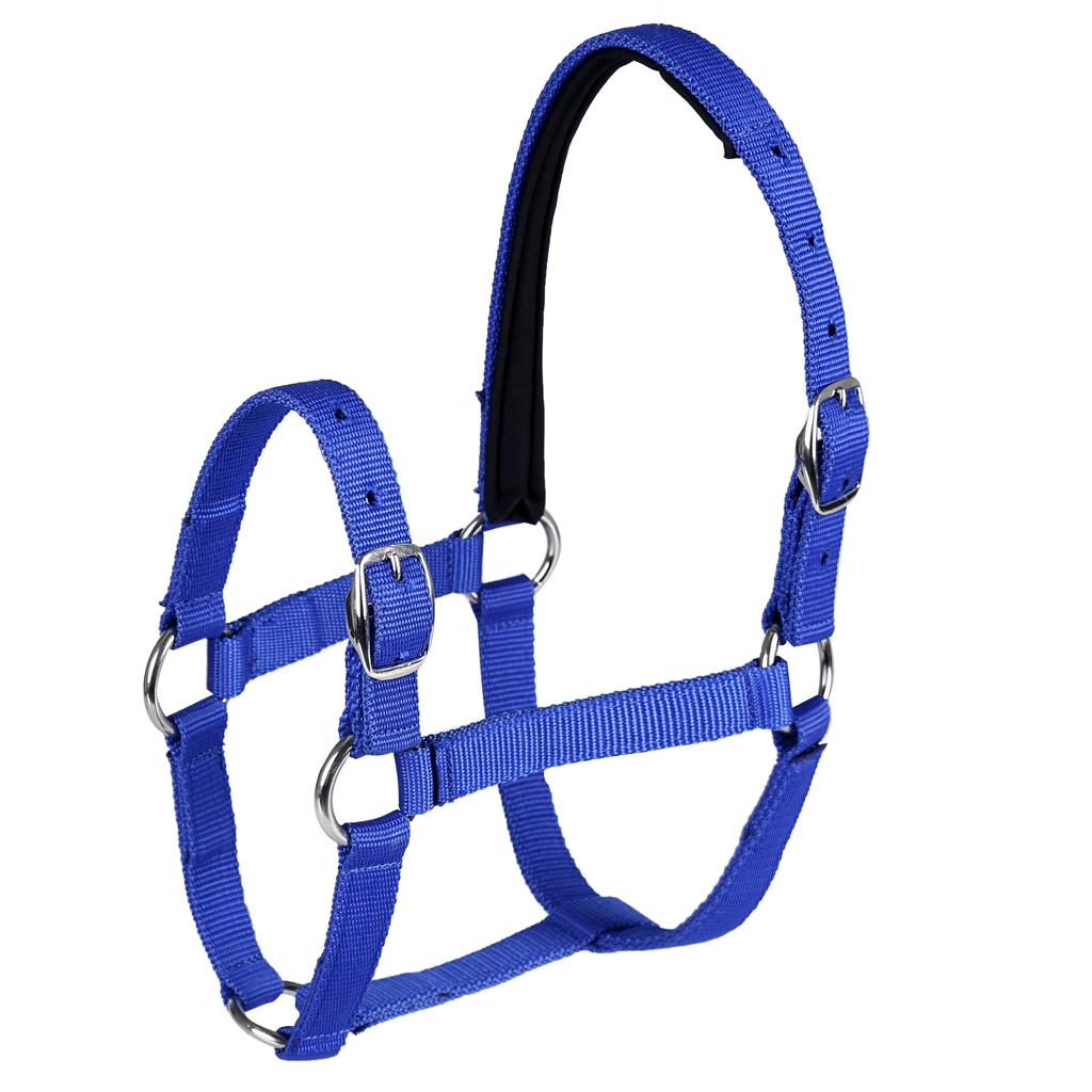 Adjustable Equestrian Western Horse Halter Fits 130 - 165cm Horse blue