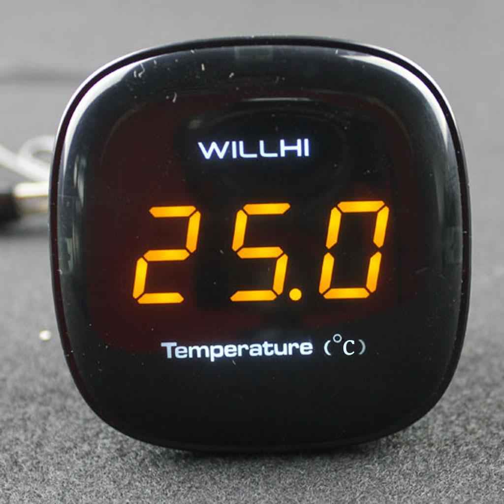 110-220V Digital Thermometer Temp meter Probe -50~110 C Temperature Detector