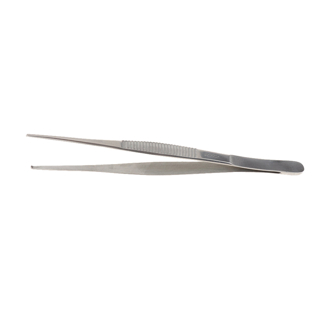 Long Stainless Steel Straight Tweezers for Detailed Work 20cm Length B