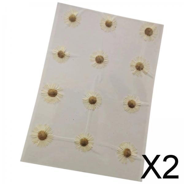 2x12x Dried Pressed Flowers DIY Art Crafts for Bookmarks Envelopes Soap Making White