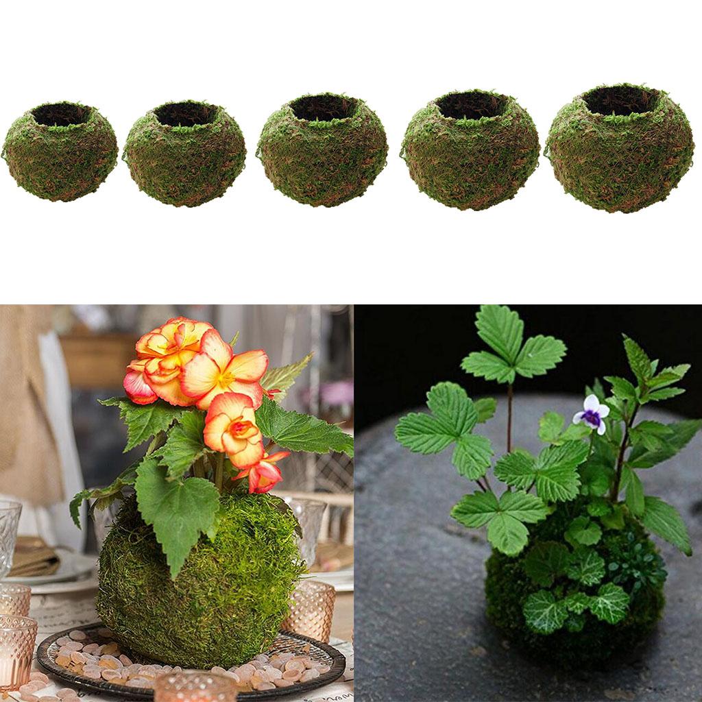 5Pcs Creative Moss Ball Flower Pot Planter Bonsai Plant Holder Home Garden